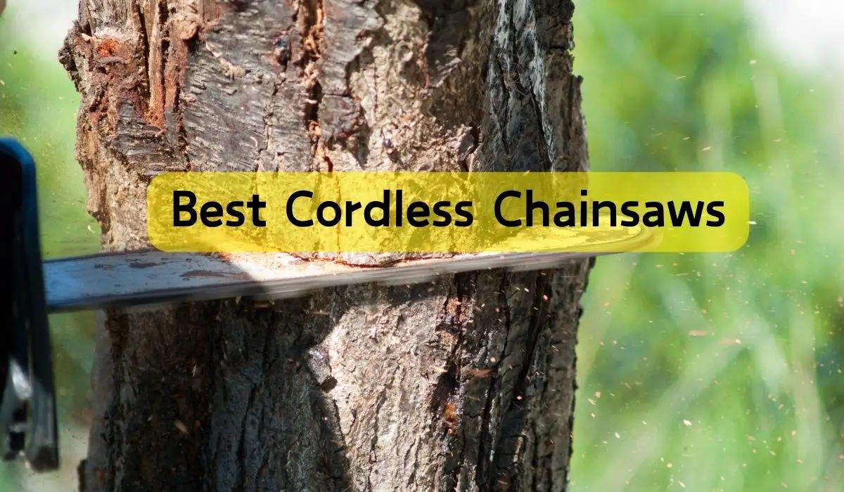 Best Cordless Chainsaws