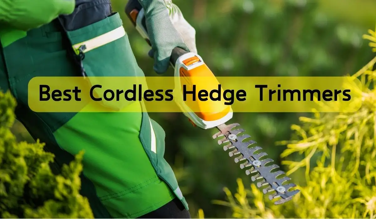 Best Cordless Hedge Trimmers