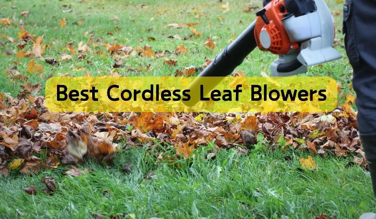 Best Cordless Leaf Blowers