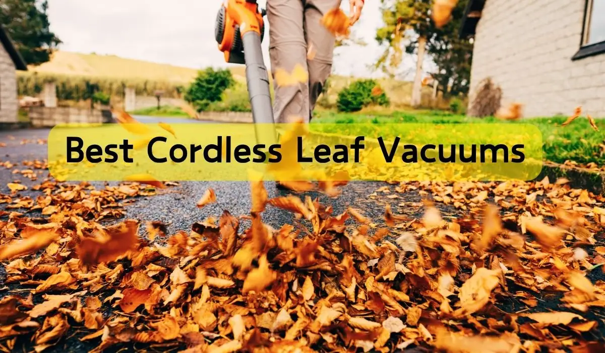 Best Cordless Leaf Vacuums