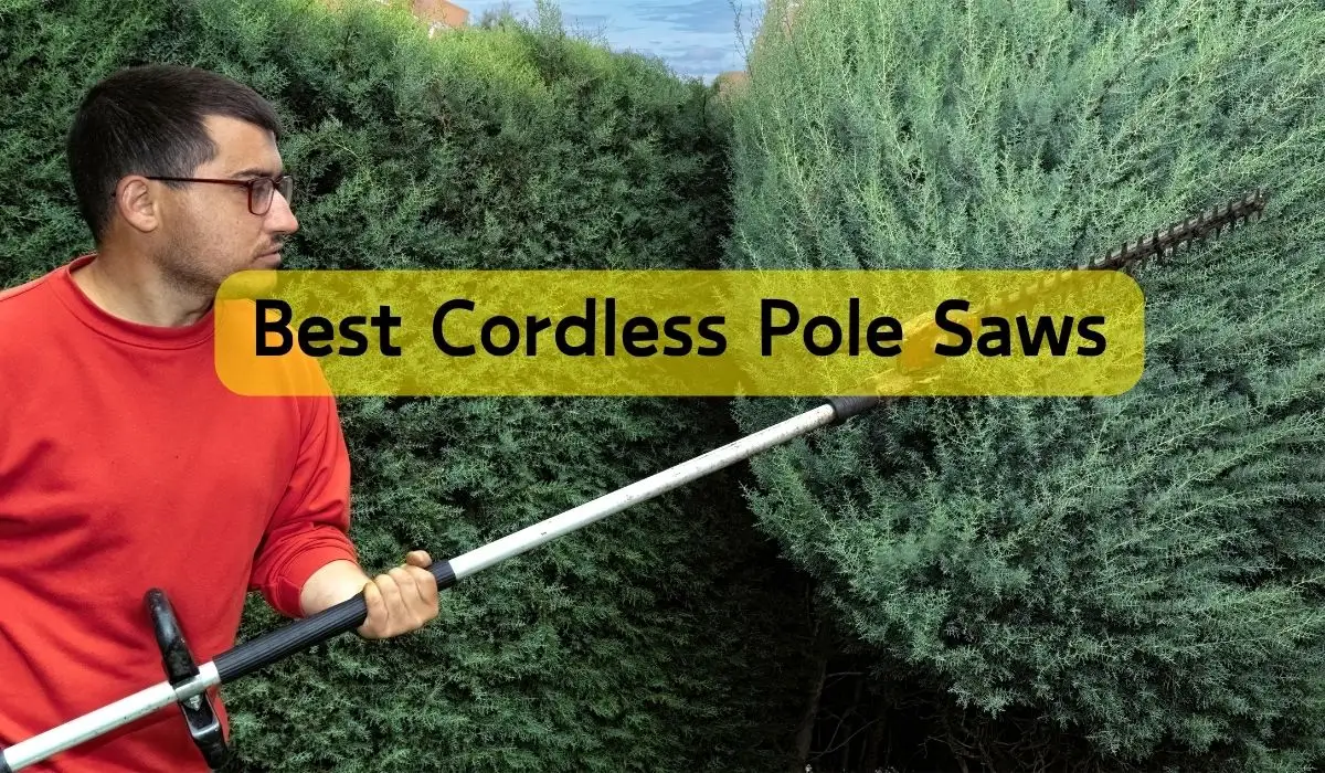 Best Cordless Pole Saws